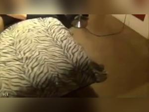 Shelly Rims and her four-legged friends