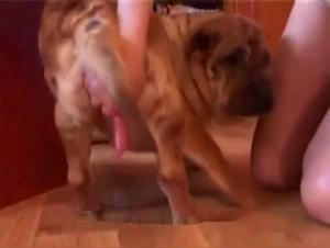 delving into the depths of the zoo's art