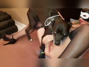 The Beastiality: A Wild and Extreme Passion