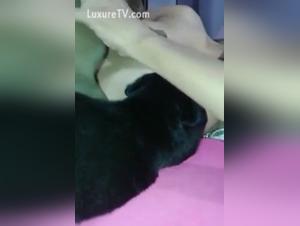 Milk for puppies 3: a unique beastly experience