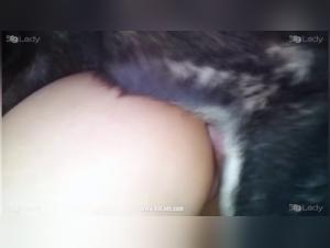 Lovely Kiki and her canine friend: intense moments