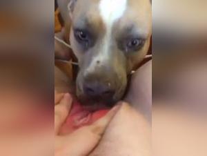 Submissive woman and her dog: a hard and extreme zoophilia video