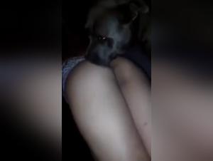 Submissive woman and dog: a zoophilia video not to be missed