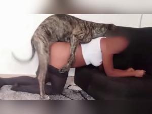 Une rencontre bestiale dans un entrepôt