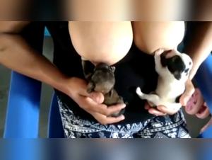 Woman and Puppy: An Unexpected Meeting