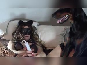 Best Zoophilia Videos for You