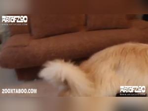 Teen Fucking Her Dog - Bestial Video