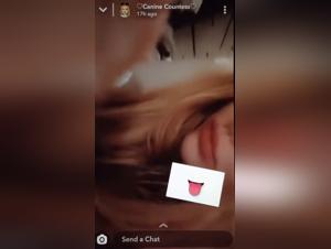 Forbidden Desires: Animal Sexuality