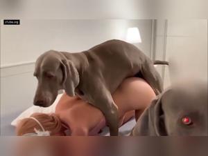 Unlikely Bonds : Dogs Knot Girls