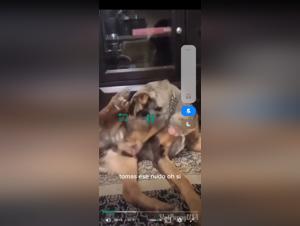 Chubby woman and her canine companion