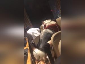 Beautiful Chinese girl and her dog in shocking bestiality scene