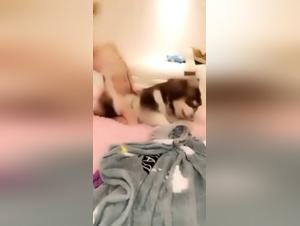 Bestiality sex video: Young Asian and her dog