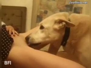 Submissive dog dominates his mistress: an extreme bestiality bestiality sex video