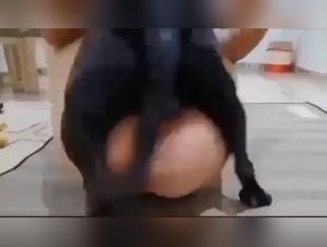 diving into alyzoo's bestiality realm