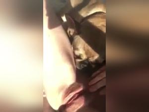 Dog sex video: amateur teen surprised