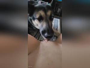 Intimate Moment: female dog and Her Best Friend - Bestiality Video