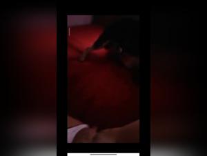 A Friend: A New Experience in Bestiality