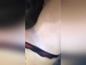 An unexpected encounter: Sex with a dog