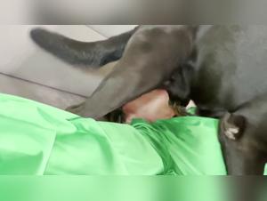 Forbidden Desires: Exploring Art Of Zoo