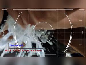 K9 Animal Exploration