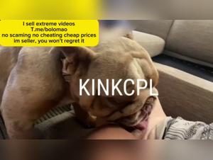 moment of canine ecstasy