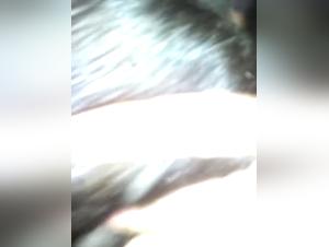 woman and dog bestiality