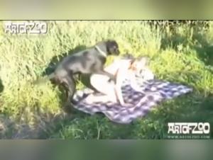 Sophie and her beastly experience