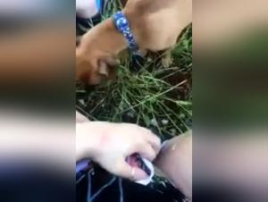 Outdoor Sex Scene with a Girl and Her Dog