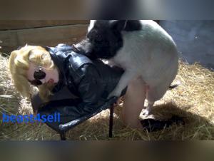 yasmin plugship model