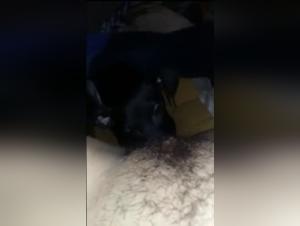 Forbidden Love: Senior Woman and Her Canine Companion