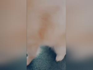 Amateur Video: Woman and Her Dog