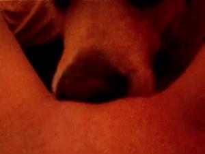 Video of Sex with a Dog
