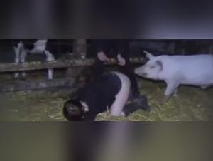 Bestial encounter between a woman and a horse