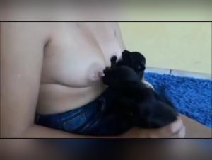Woman giving milk to puppies in bestiality video
