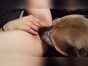 Woman and Dog: A Forbidden Encounter on Video