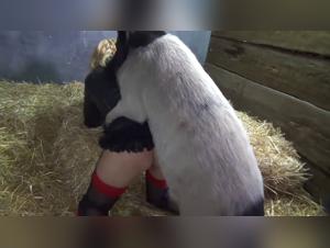 Limites del Deseo: Una Mirada Prohibida