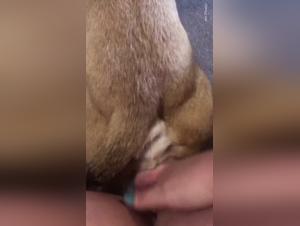 Delving into the Controversial World of Zootography