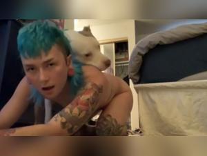 Hot Dog 29: An exciting canine encounter on video