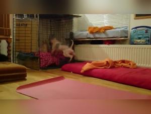 Unveiling Taboo Desires