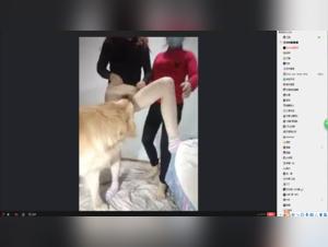 Bestiality: A woman and her dog - Shocking video