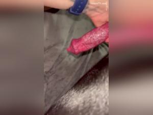 extreme experiences of dog sex