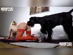 Les plus belles bestialites pour femmes et les hommes : baise passionnante