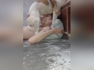 Forbidden Encounters: Delving into Animal Tube