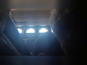 Woman and dog: a bestial sex video