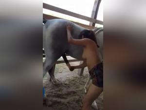 Mexican woman and horse: a bestial encounter