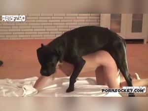 Sam and his canine sex toy: a shocking bestiality video