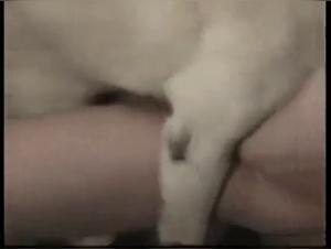 Pregnant woman and dog in bestiality sex scene