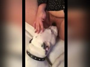 BBW and her dog in bestiality video