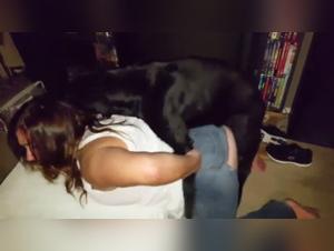 Amateur Dog Lovers Unite for Extreme Bestiality Action