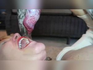 Sex video with a dog: a beastly experience